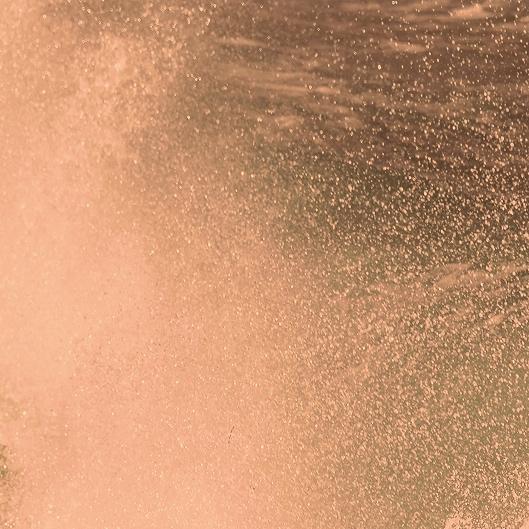 Self Care Club  Gold level 